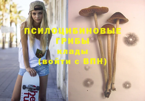a pvp Горнозаводск